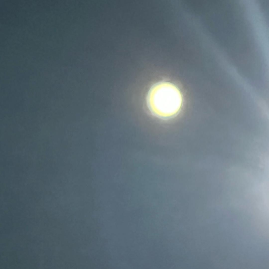 领鲜一步
