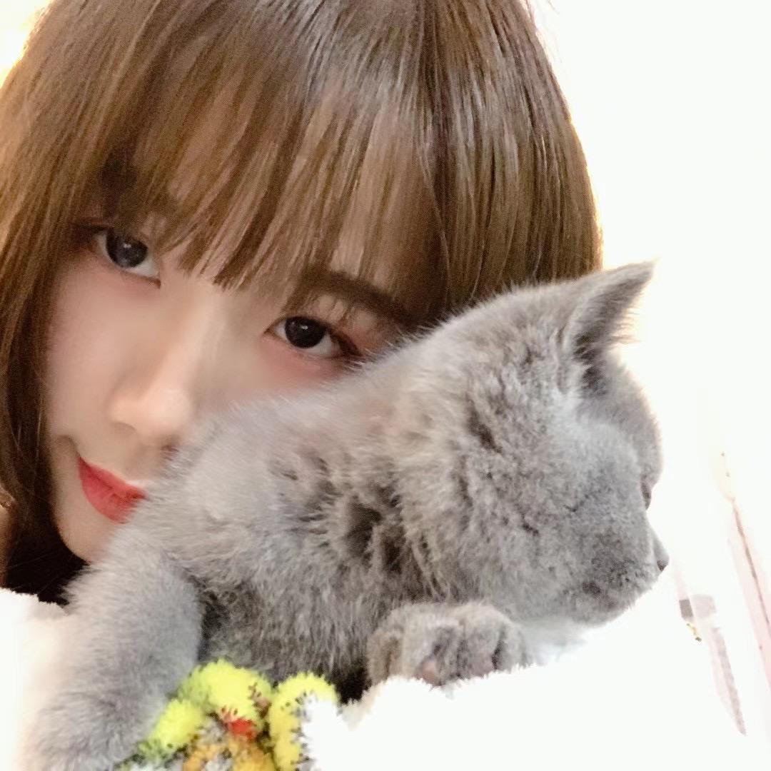 空港新城编压商贸行