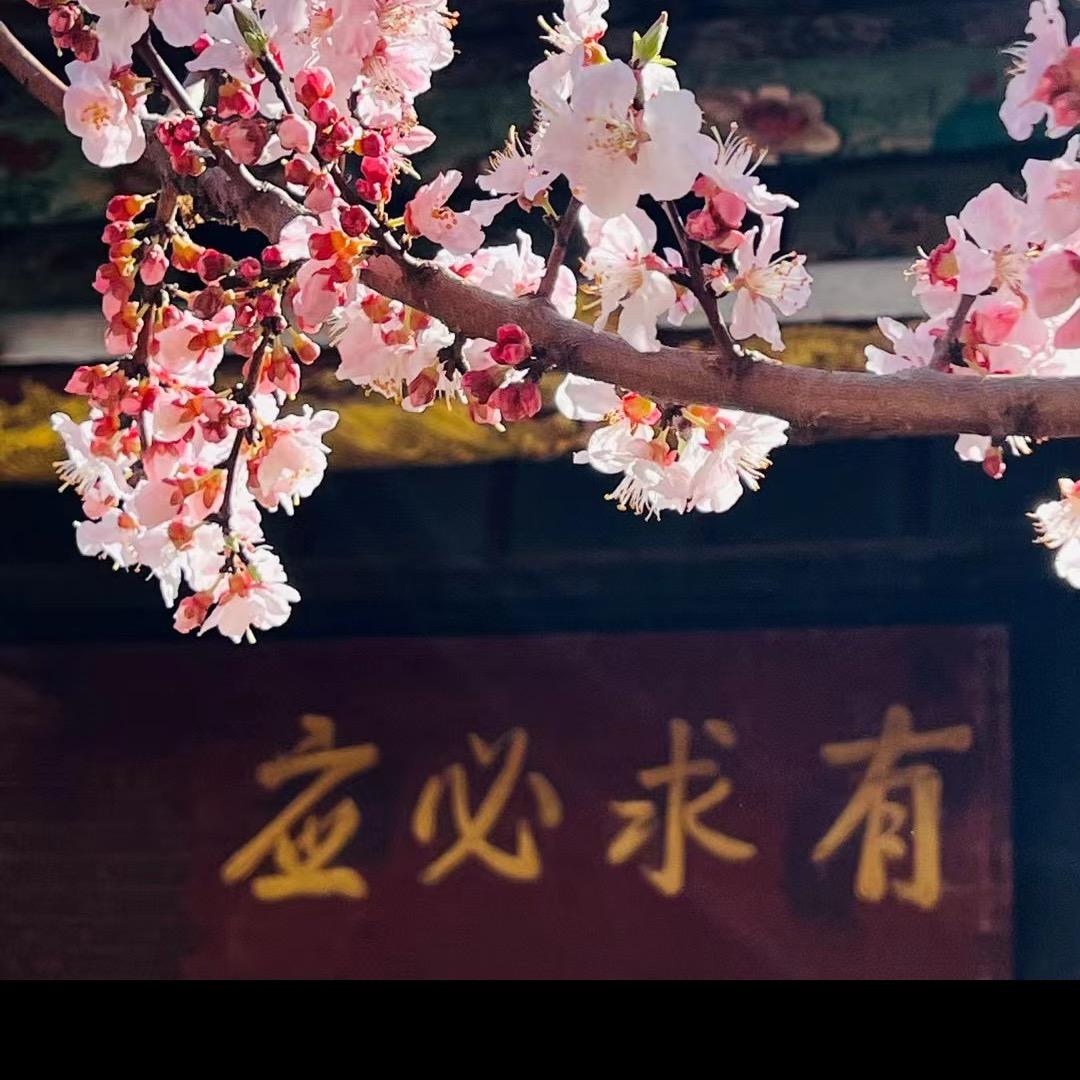 丹霞隐林