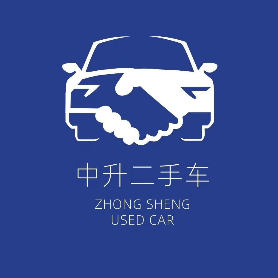 中升二手车一杨总