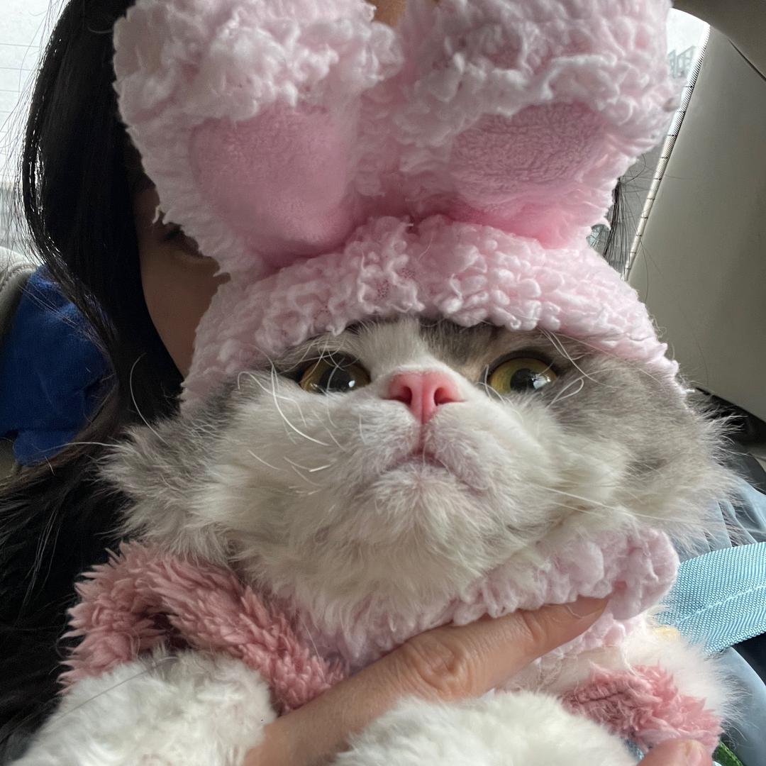 中个拾亿千亿