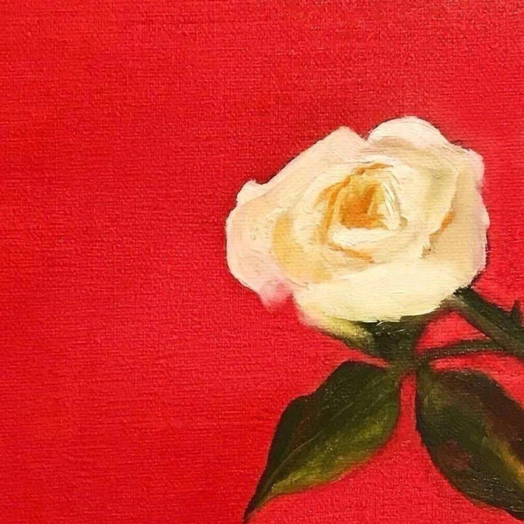 Rose _RR