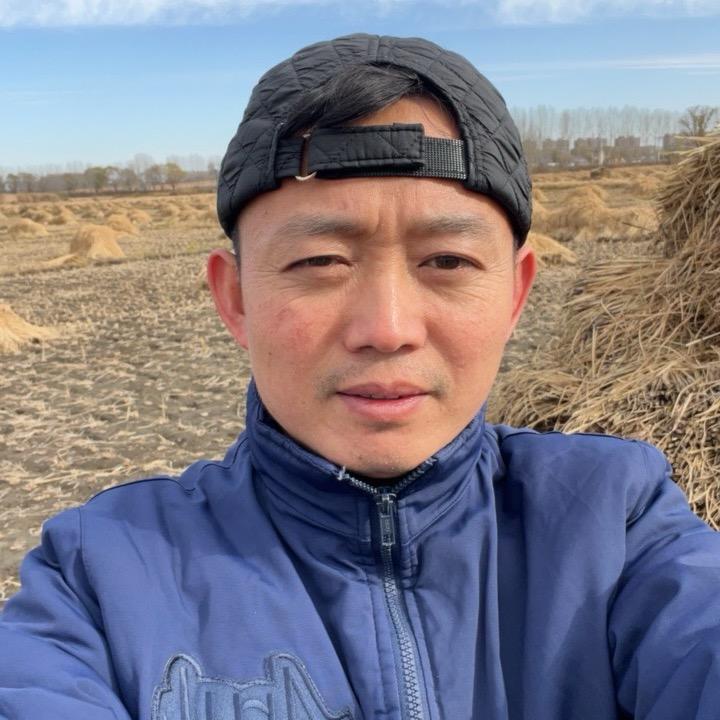 农村王二南
