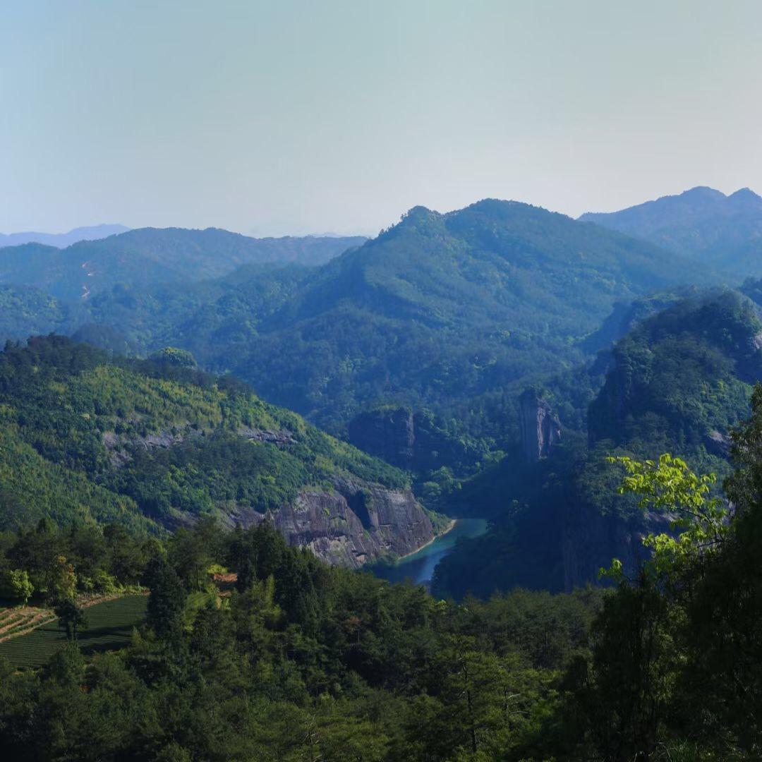 武夷山市吾独享茶叶店