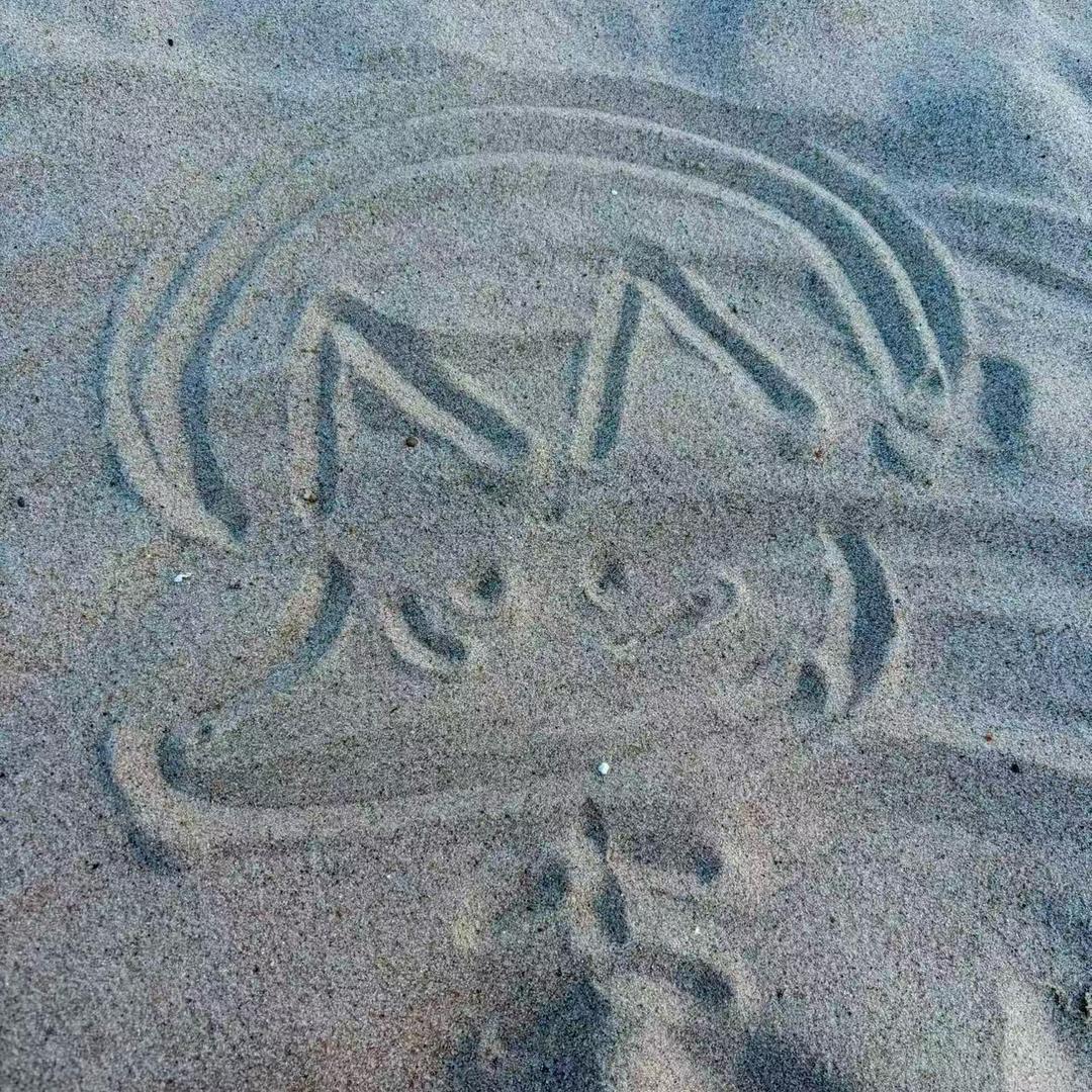 她在我的剧本里杀青了