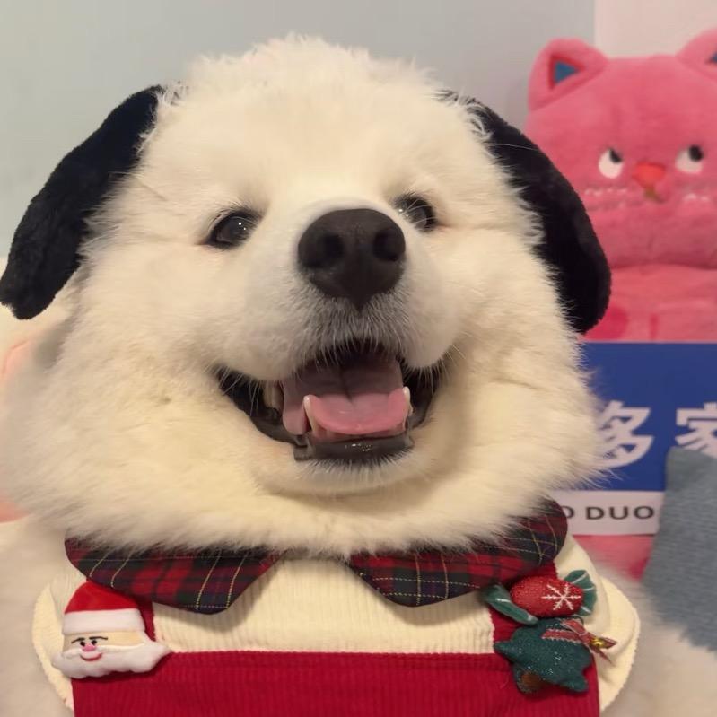 云朵☁️小卖铺