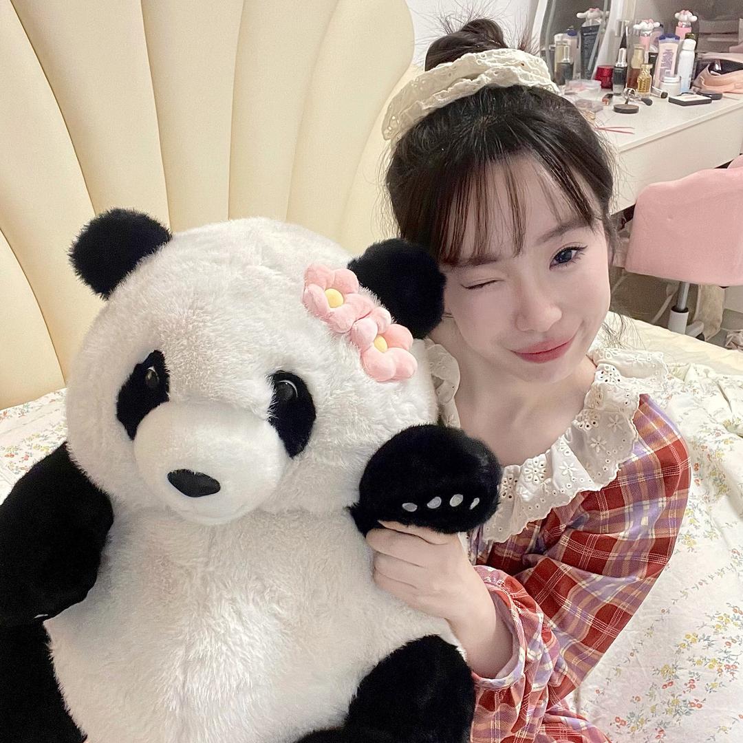 小猪椰椰