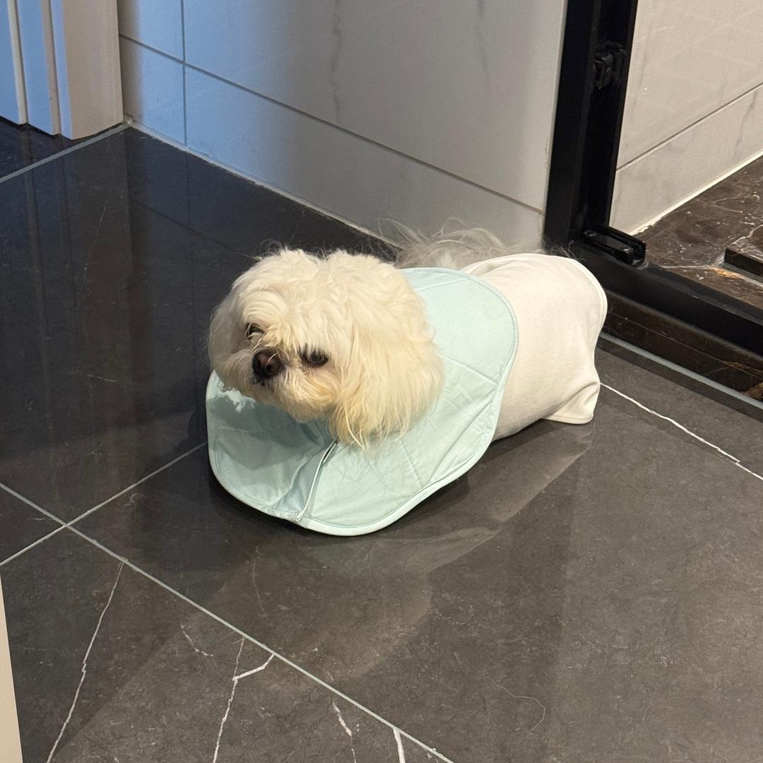 洼央