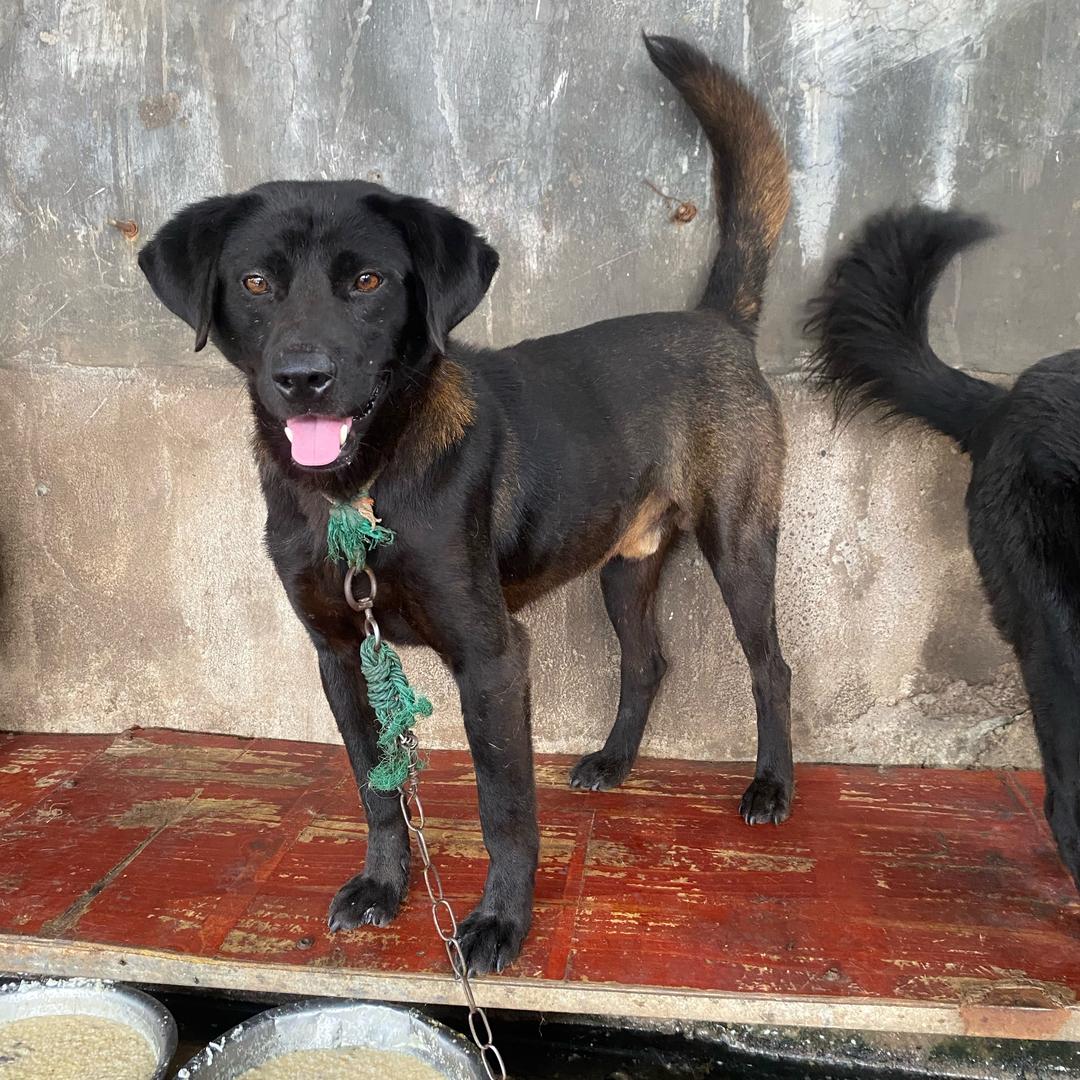 凉山行人朋友圈《公益护农合法权益保护》