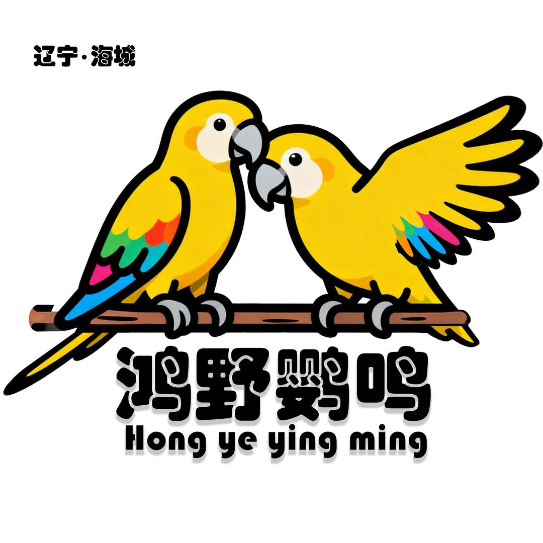 鹦鹉观察员