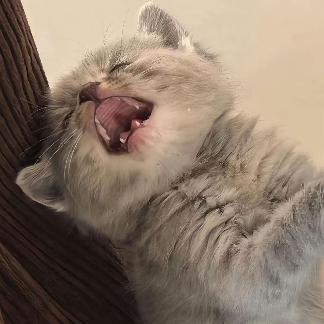 倘若.