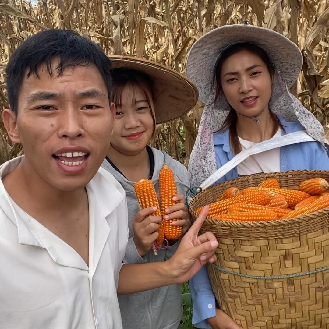 河南毛毛