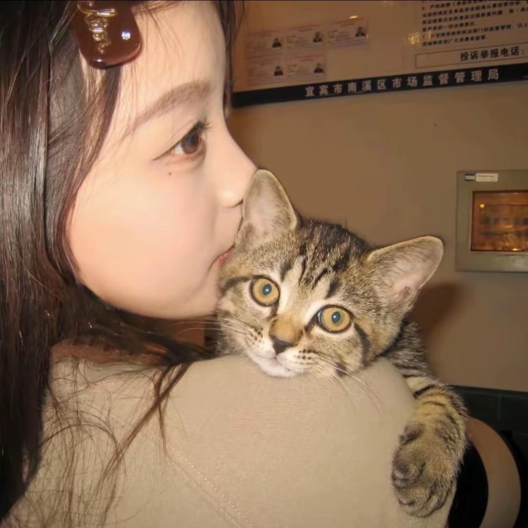 小宁.