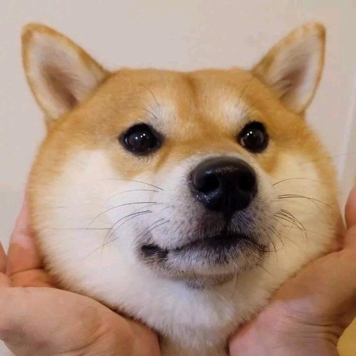 再无惆怅聚今生