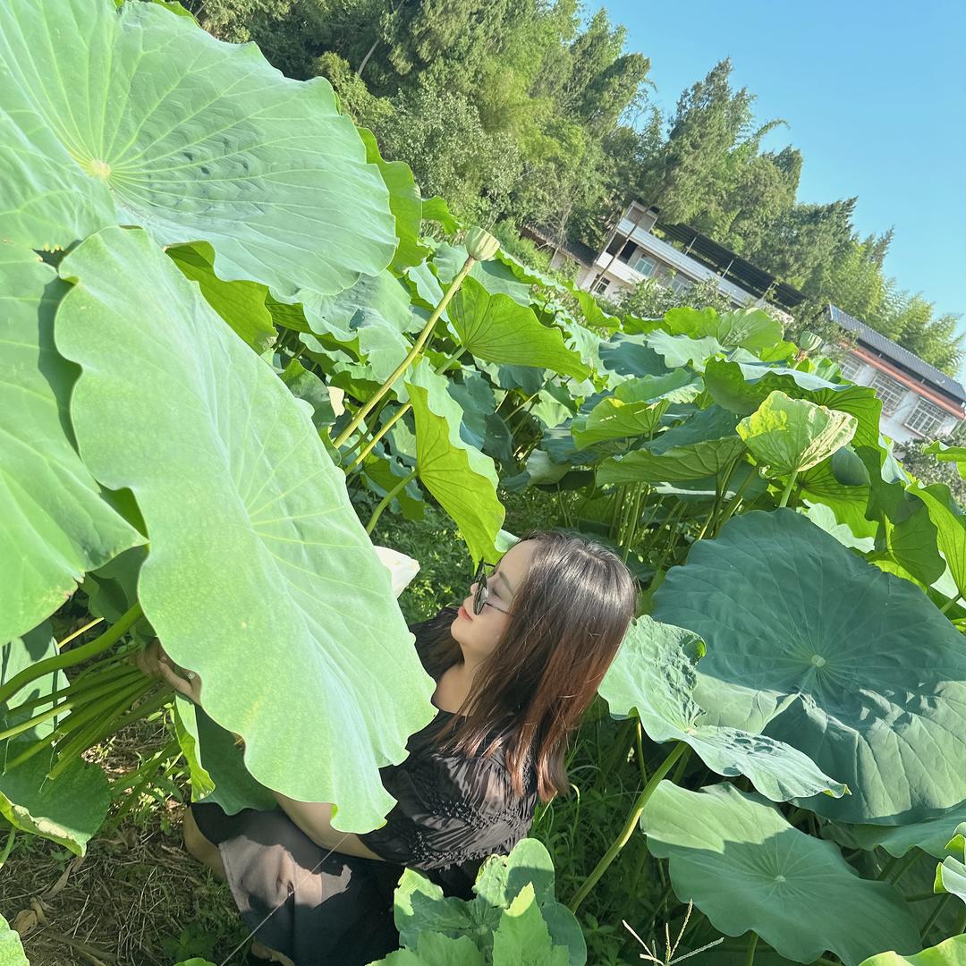 尘埃落定