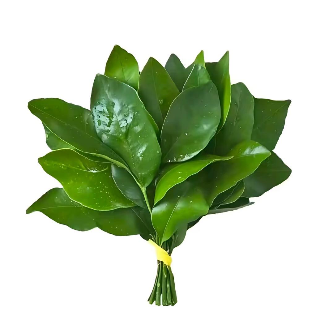 累累的