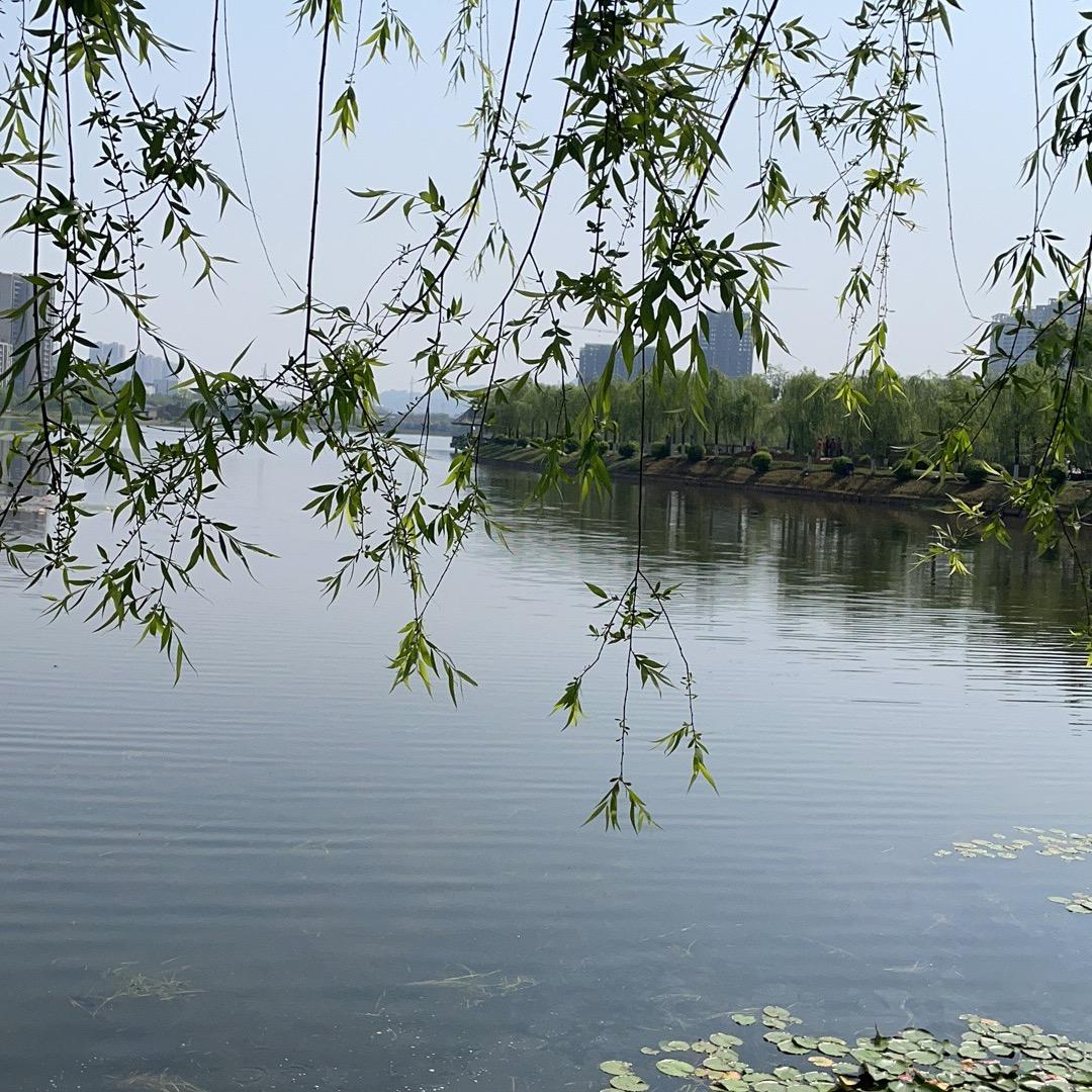 面对现实