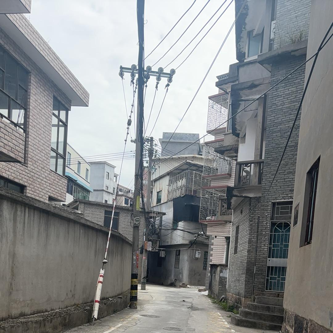 传统文化兴趣爱好者