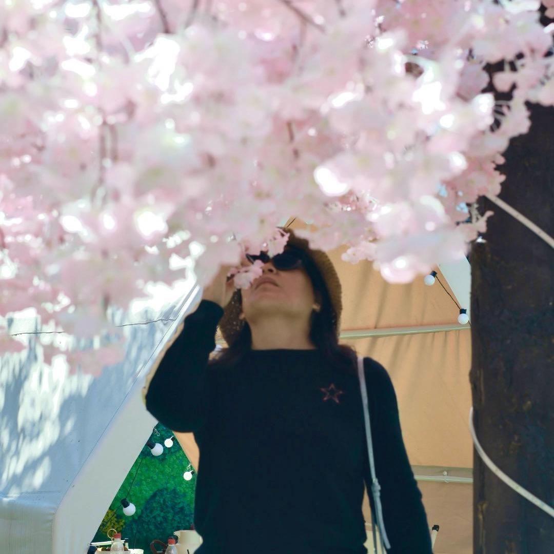 云淡风清