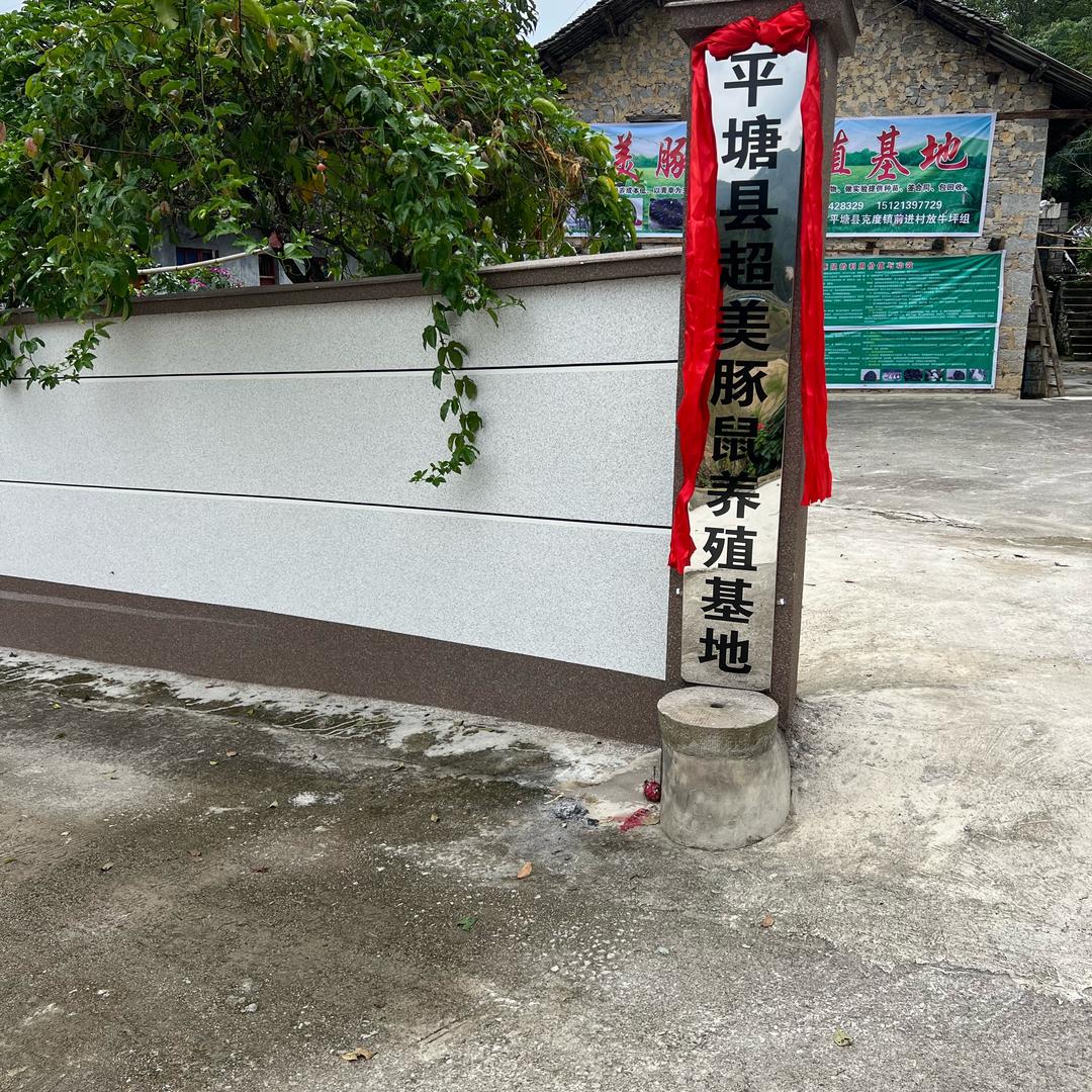 艳子场