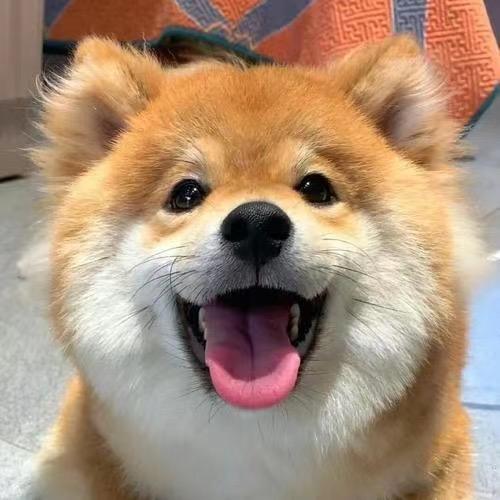 都别睡了