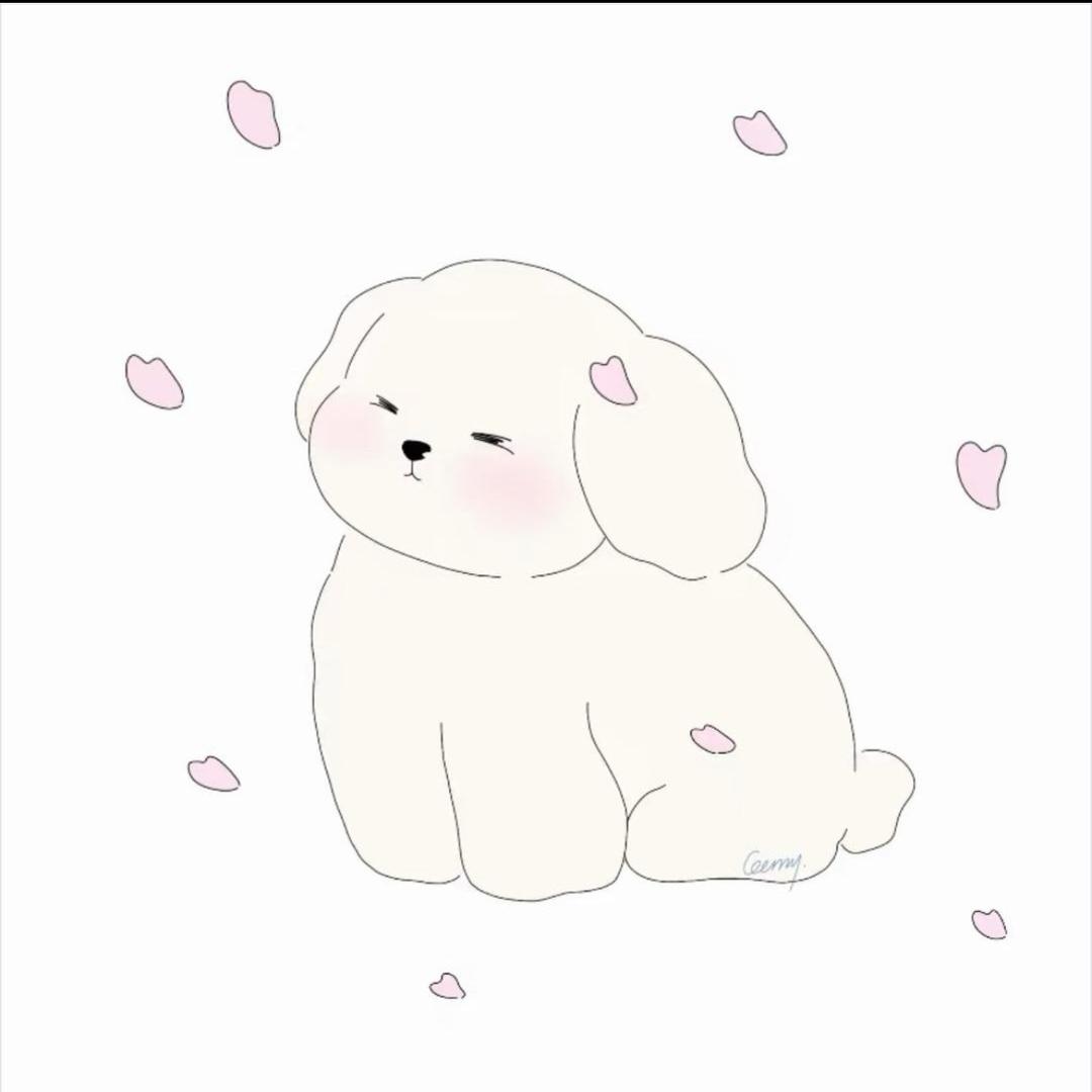 小胡今天穿什么！