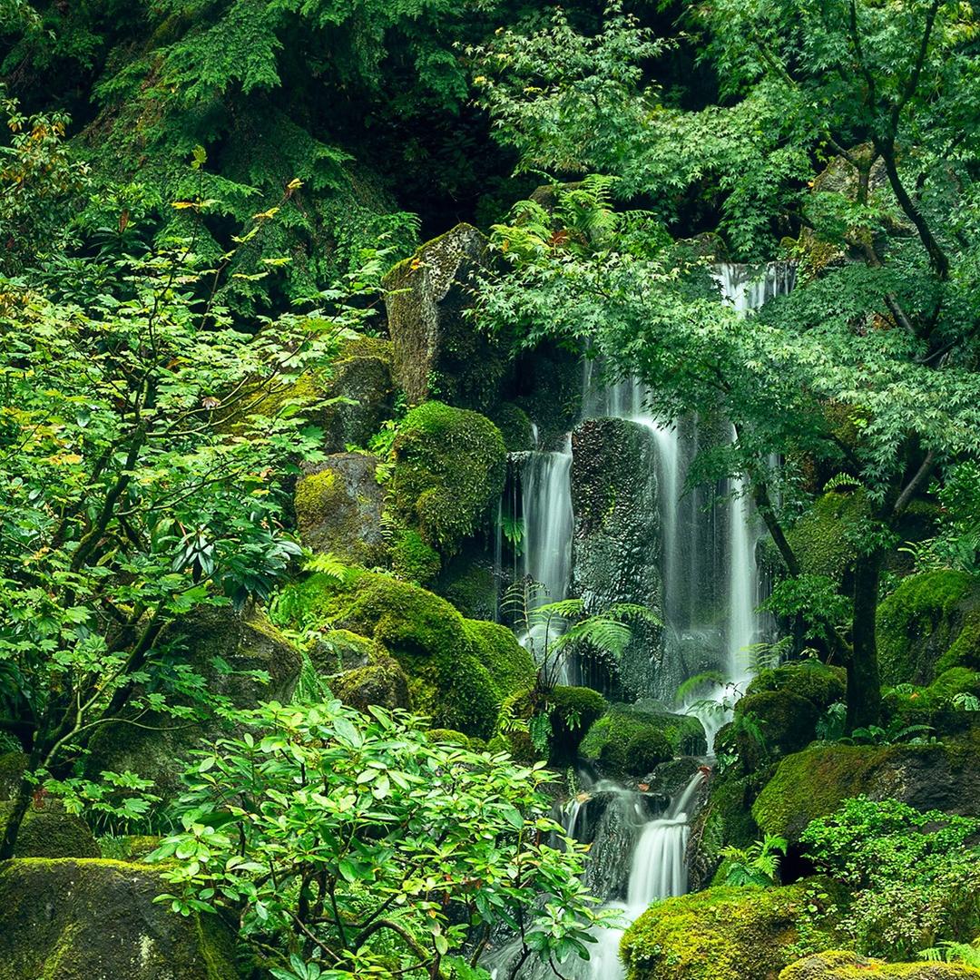 顺昌通讯