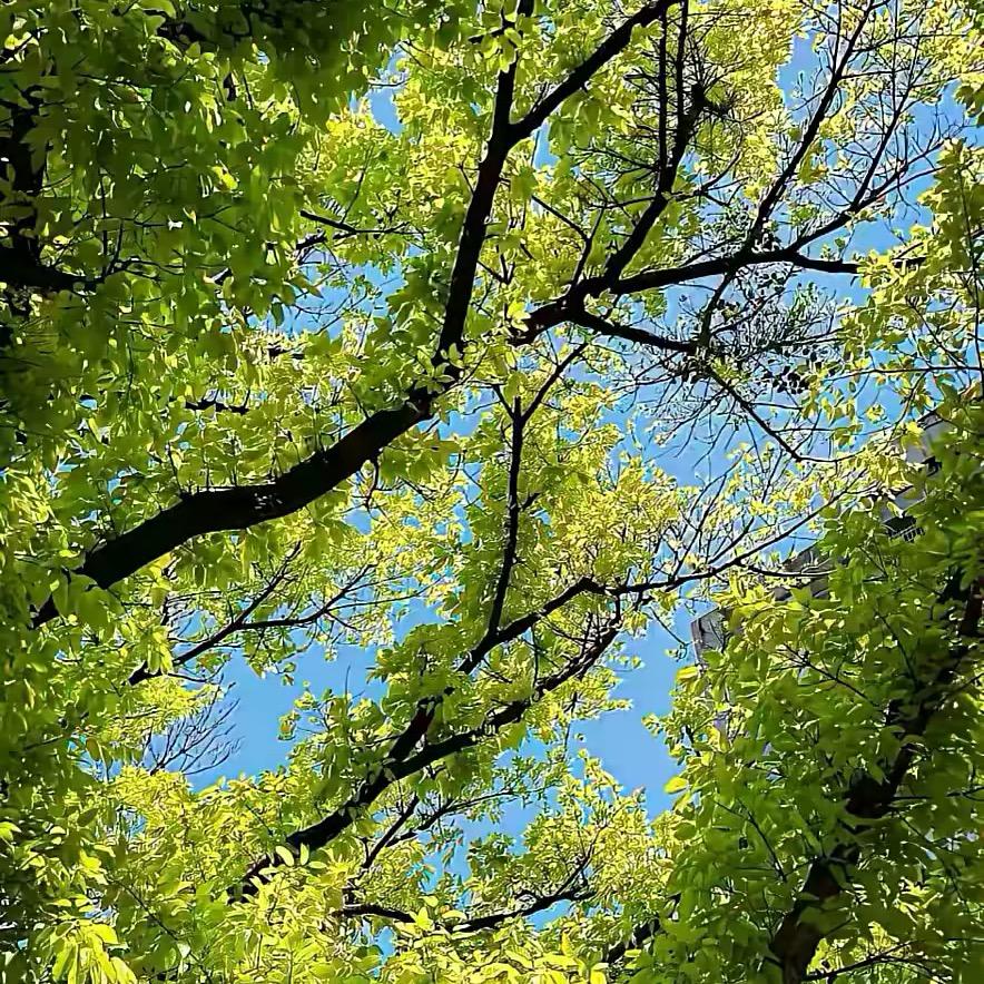 身体健康才是棒棒哒