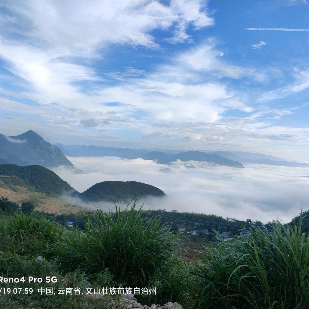 熏陶花卉园艺2