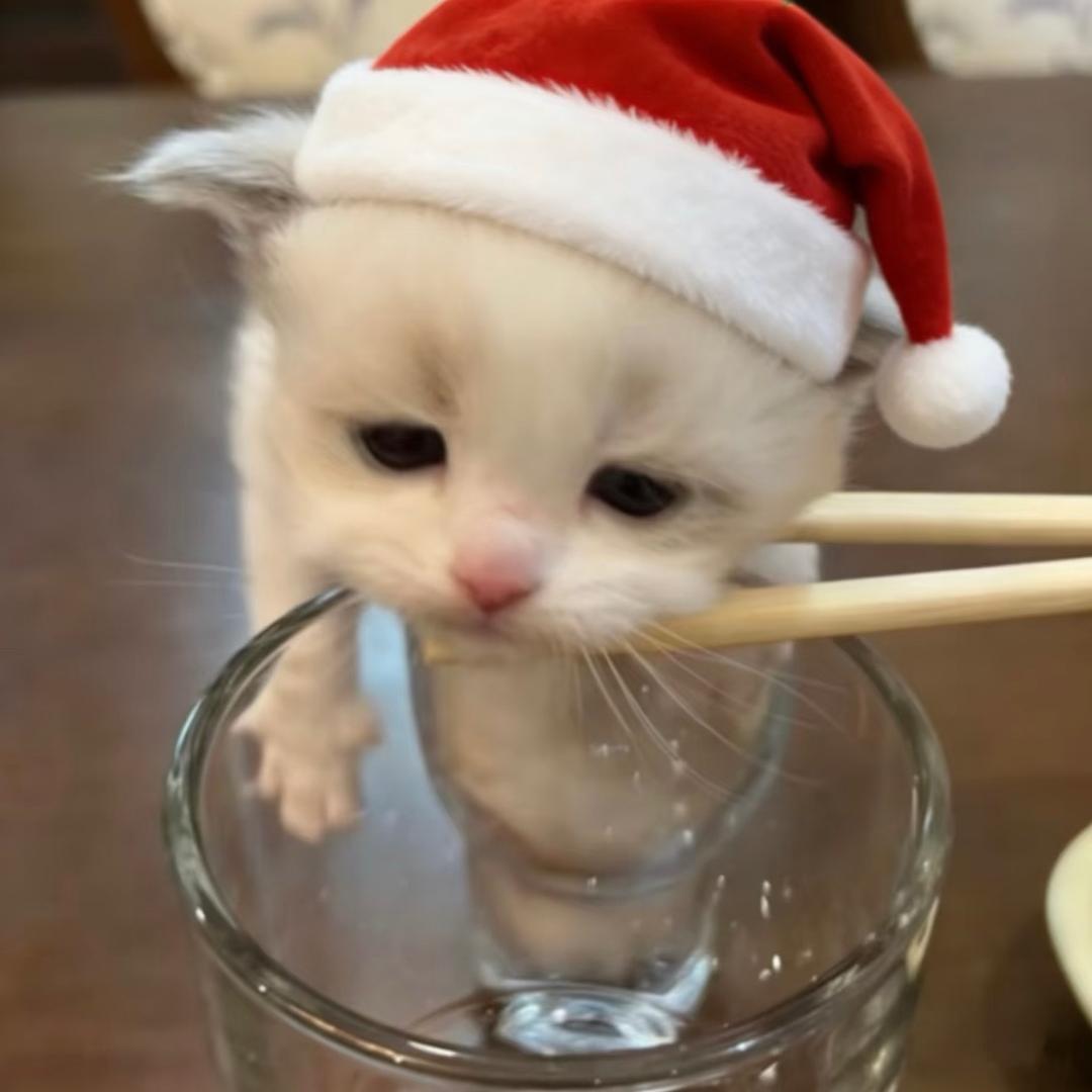 🍊（燕云十六声）