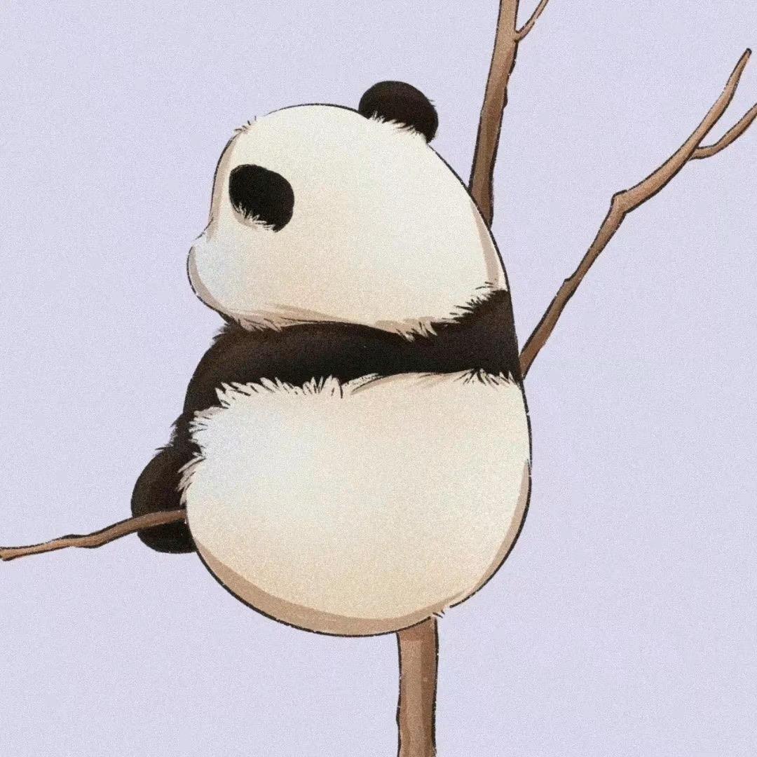 一起学做阳春面