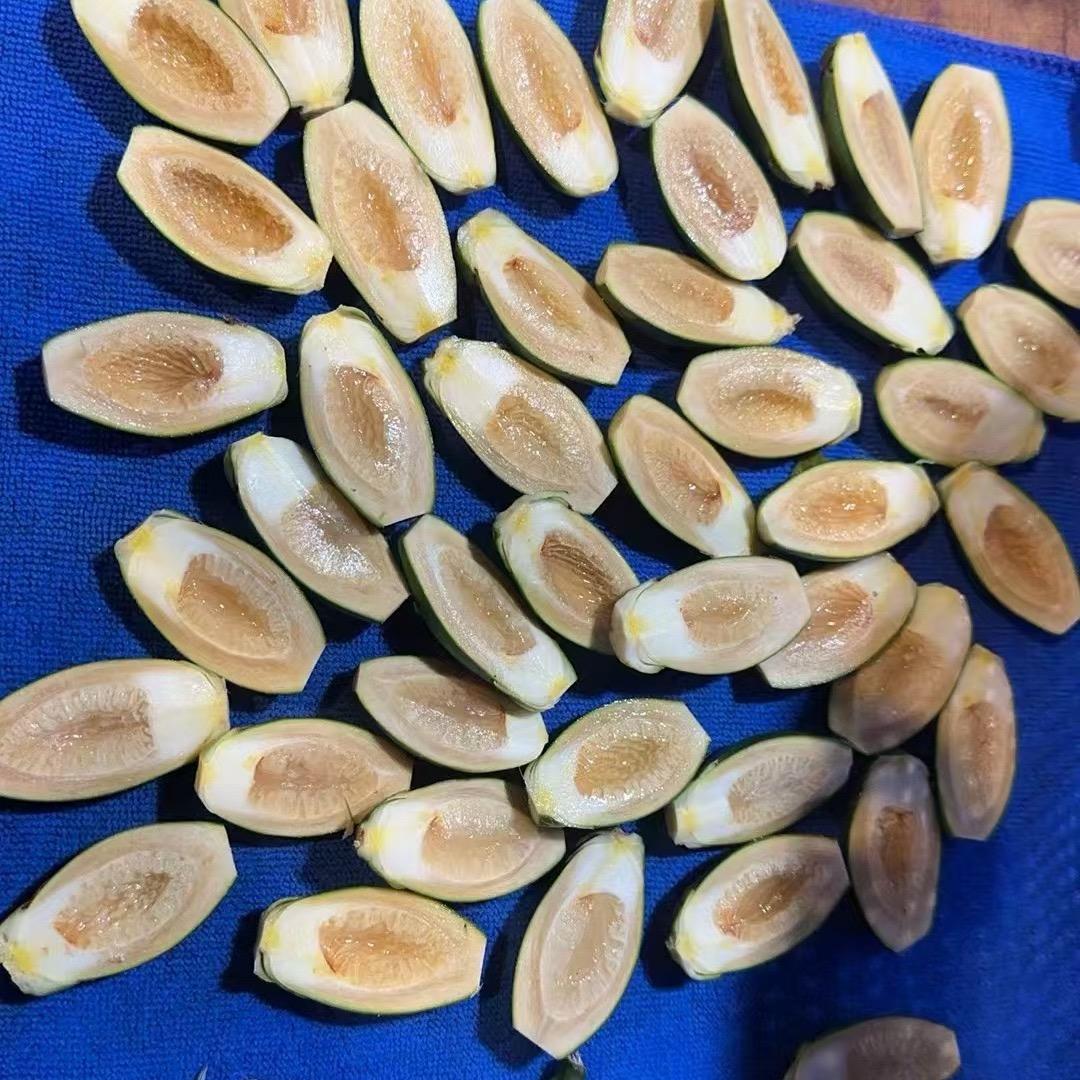 陵水名豪 红毛槟榔