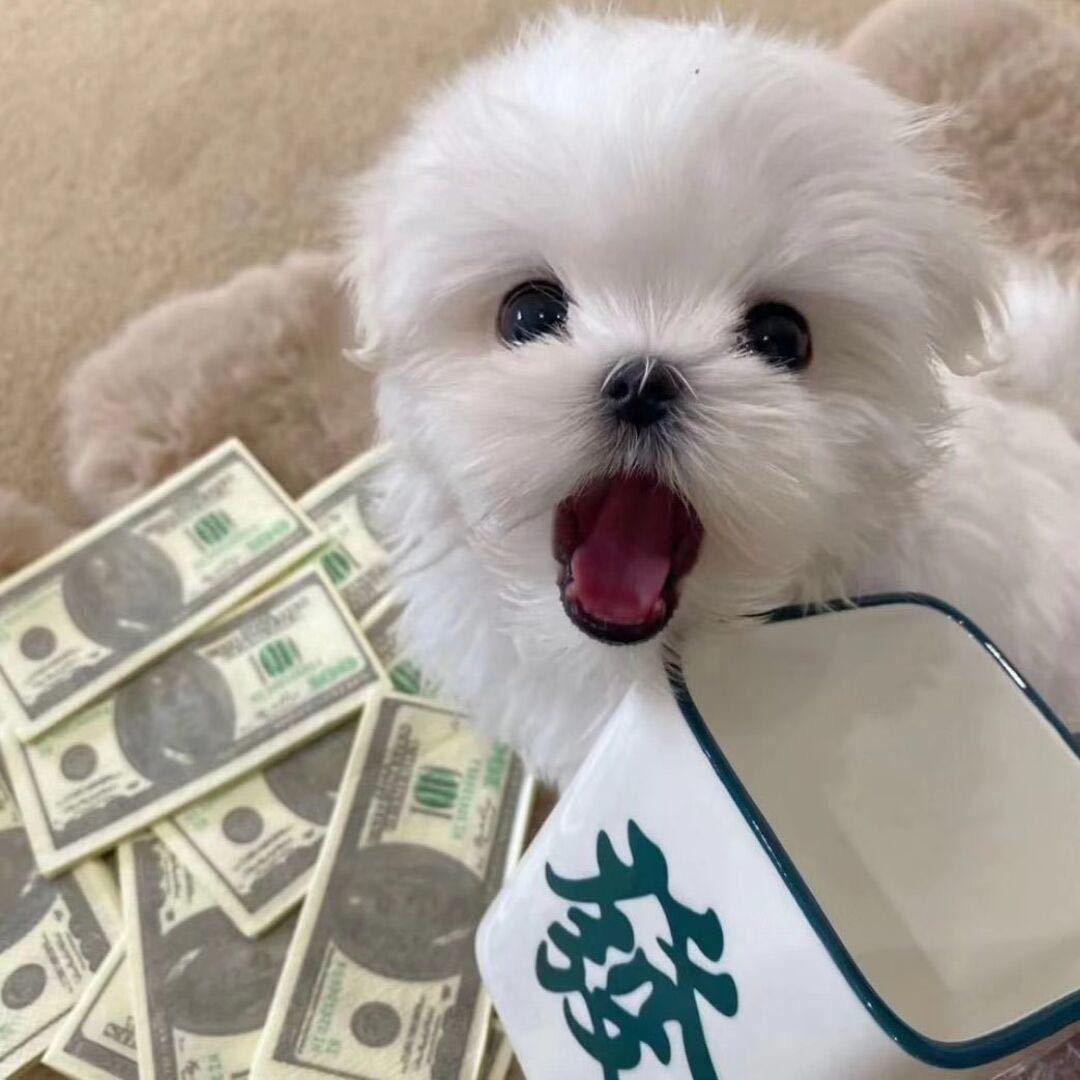 是小高啦