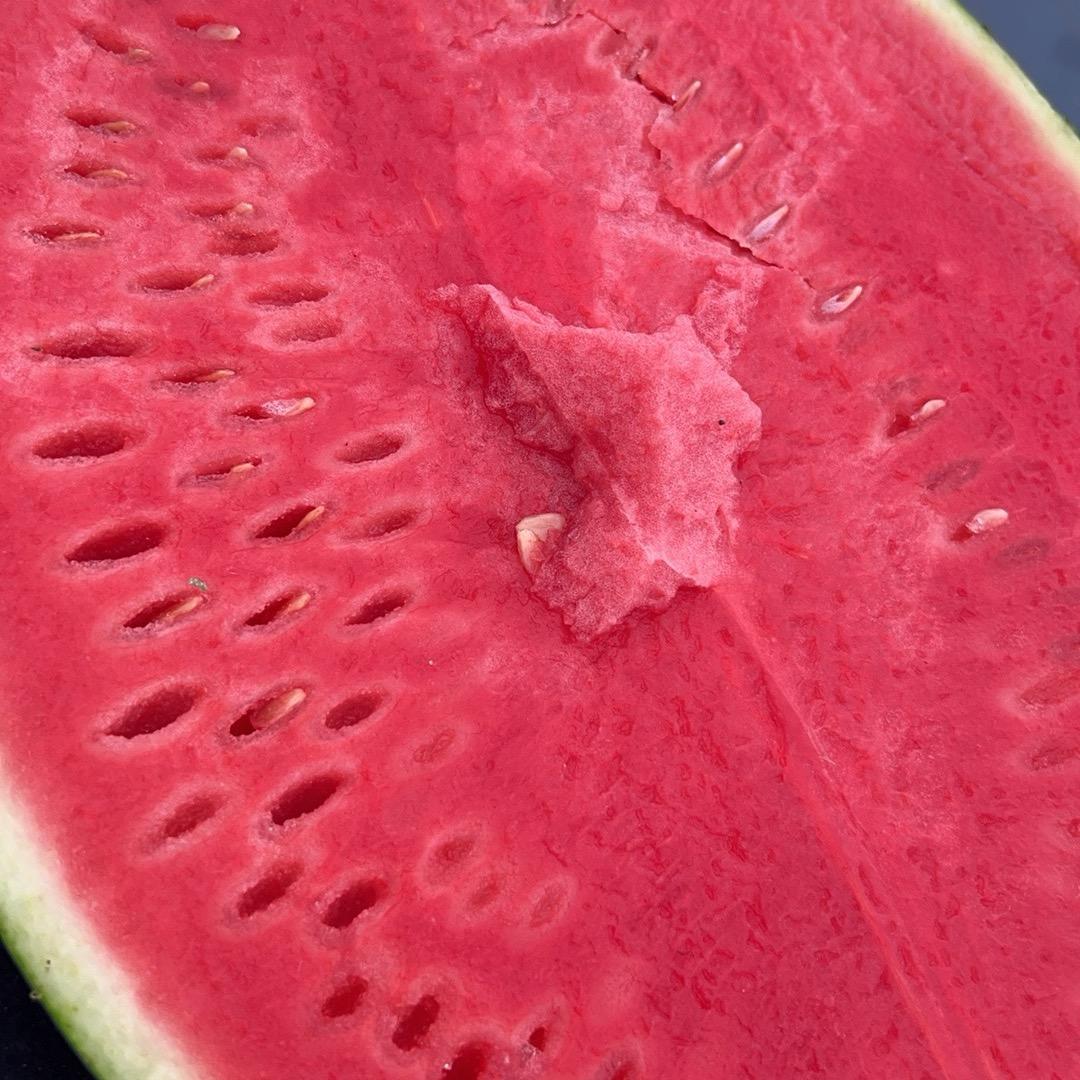 陕西瓜果