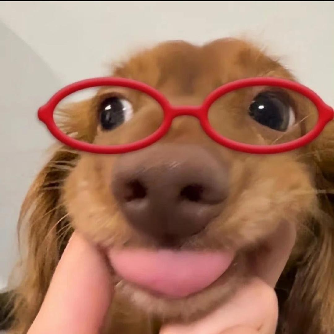大大怪