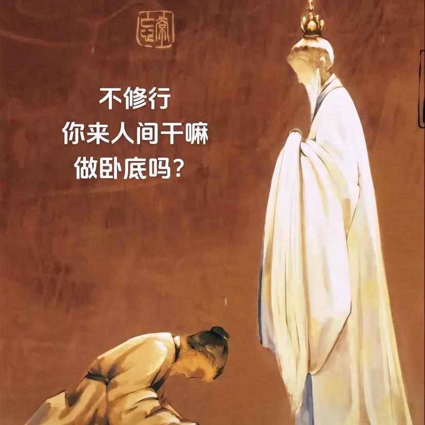 刘芝邑