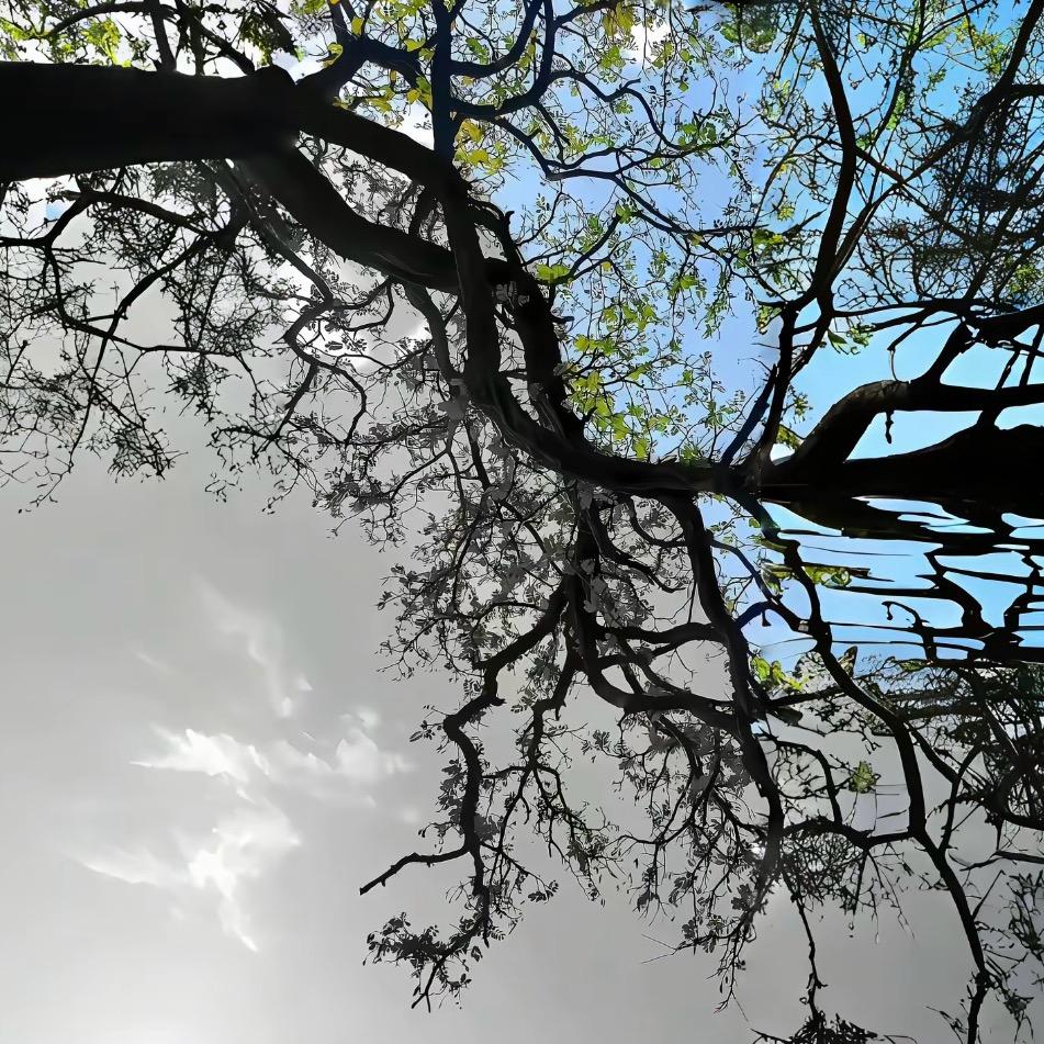 ㅤ  ㅤ    ㅤ  ㅤ