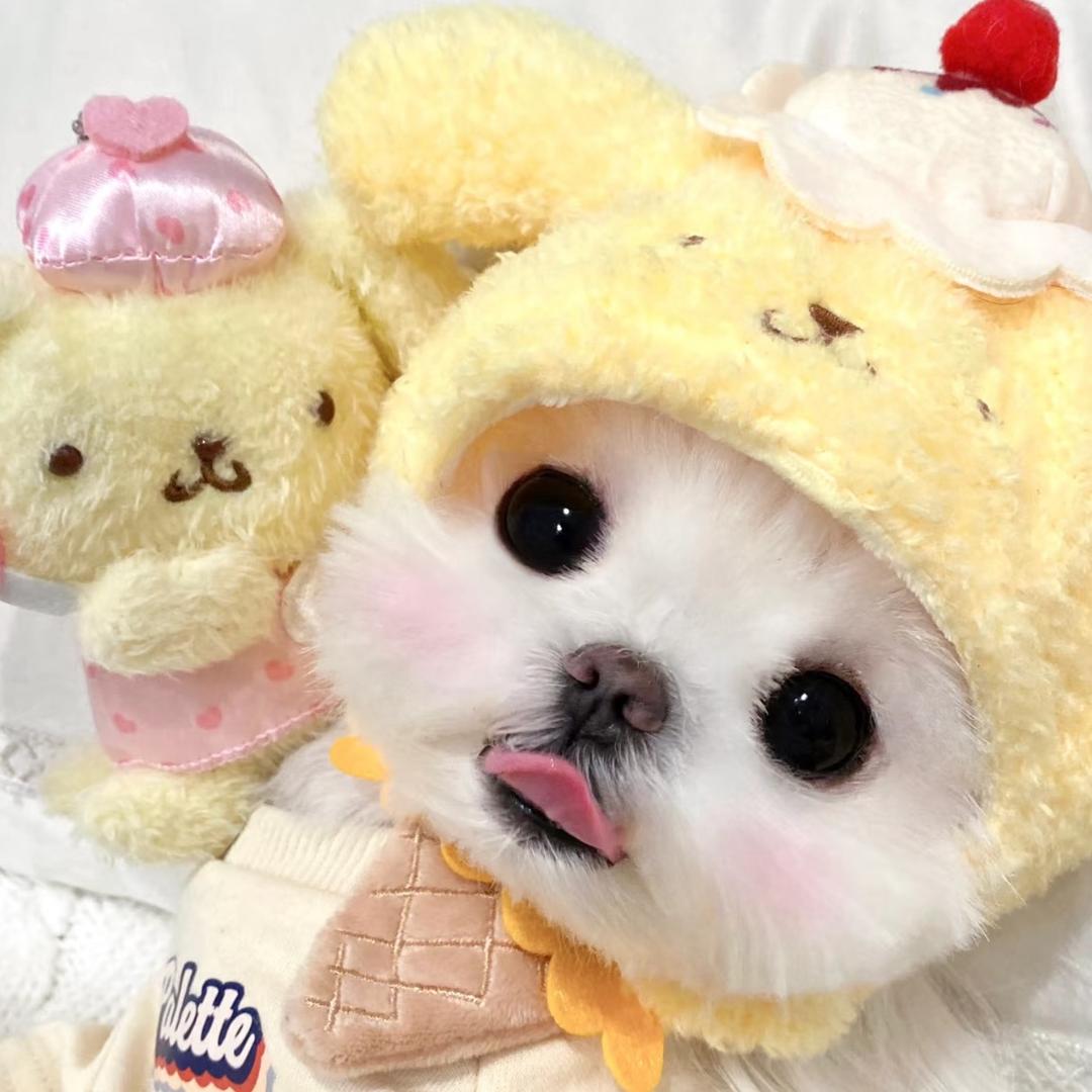 椰子娜🥥