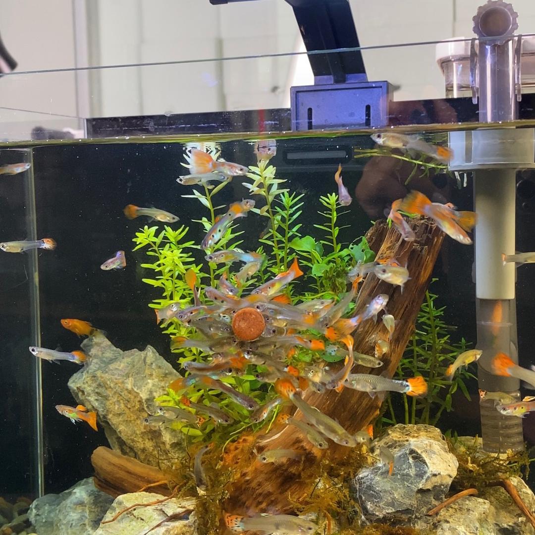 友佳水族馆
