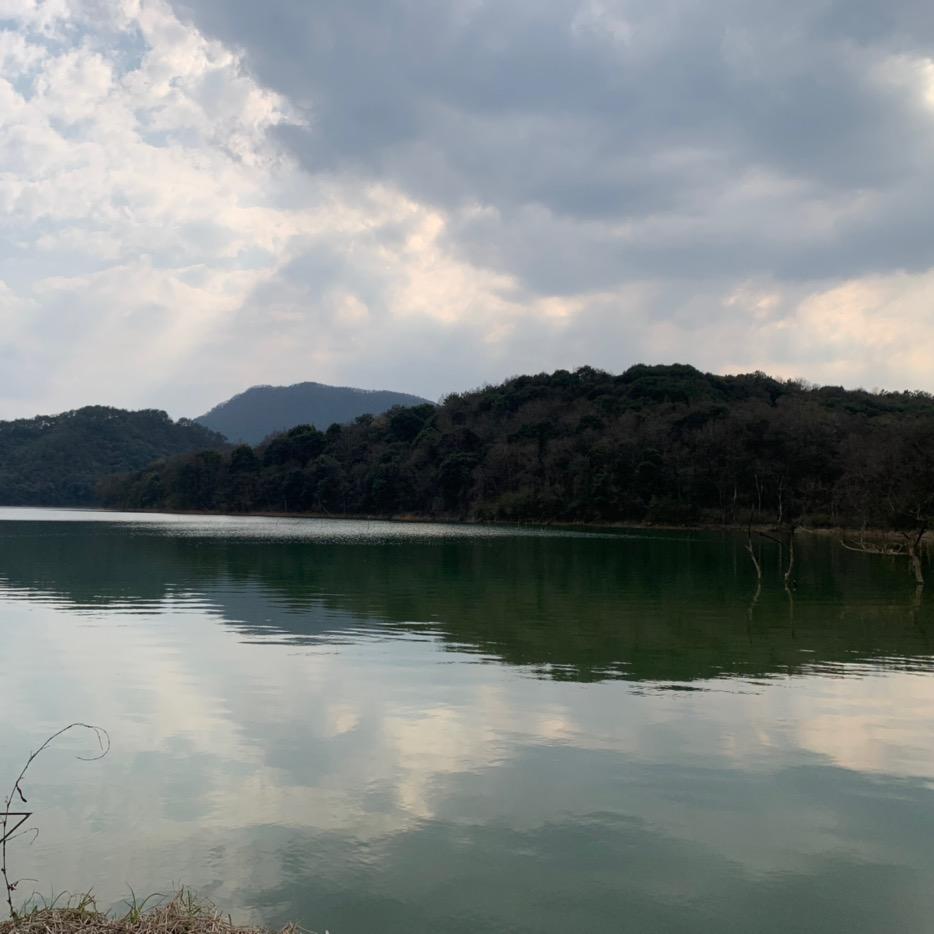 小夏爱做梦
