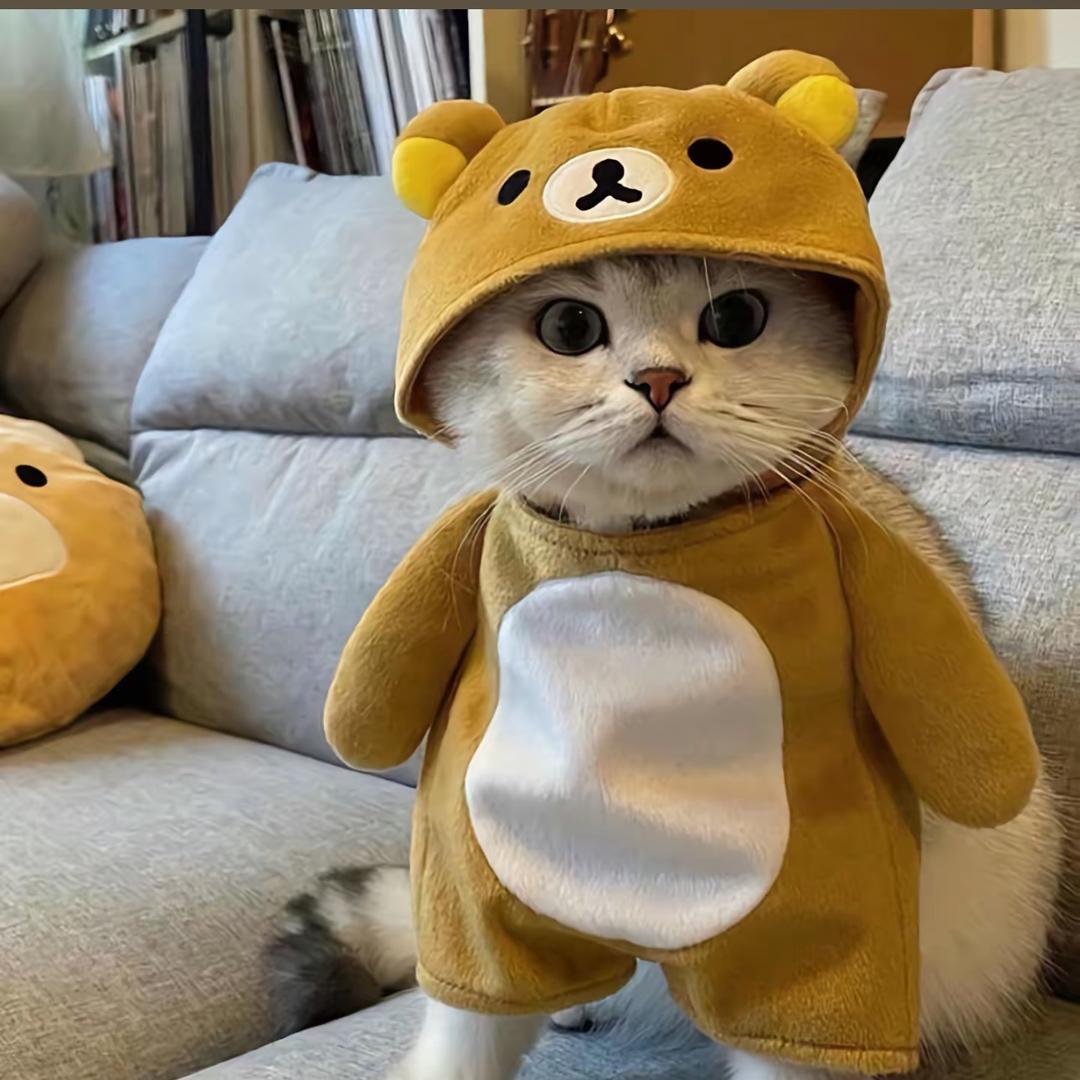 Leo～