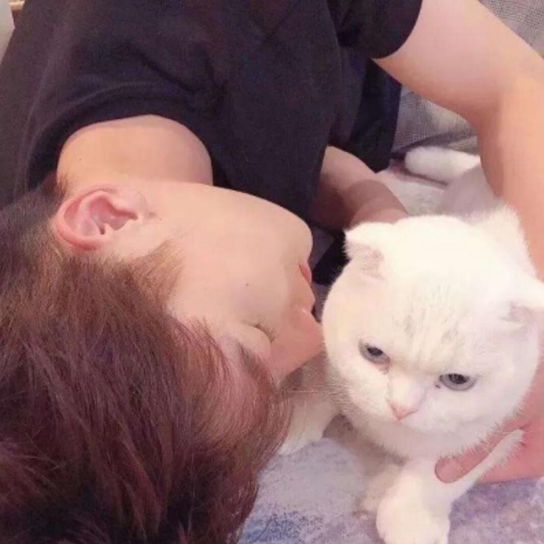 秦