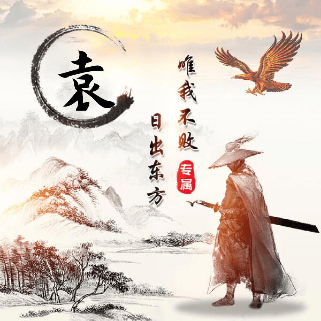 飞鹰🦅