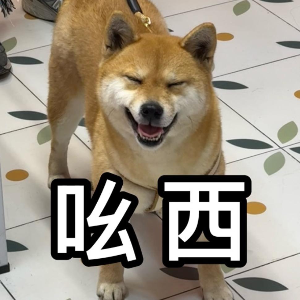 黄豆来了