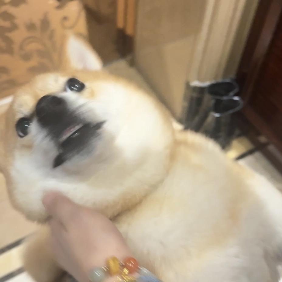 咕咕嘎嘎^