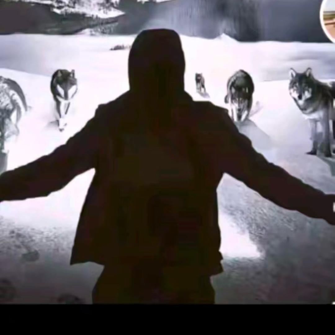 城阳网络（小胖）