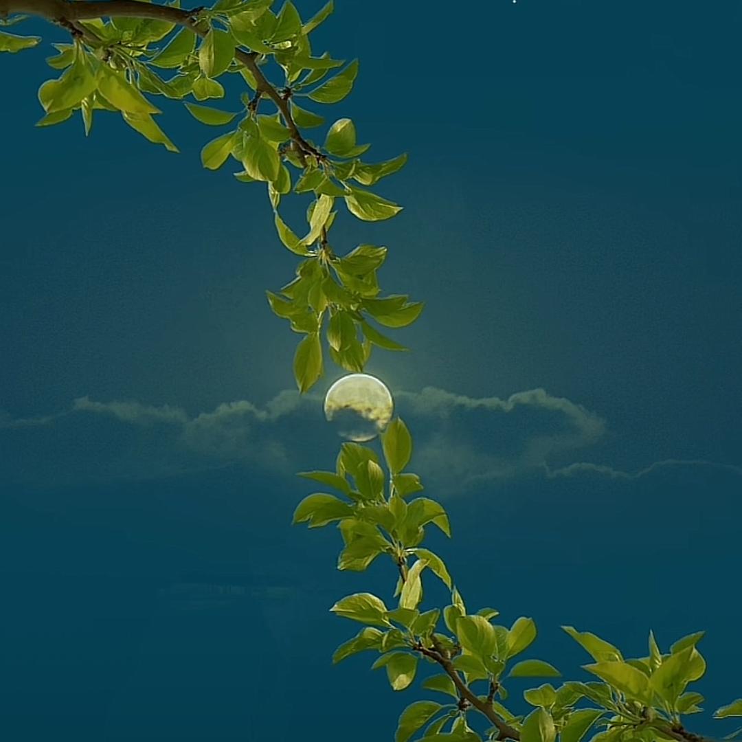 橘朗香薰