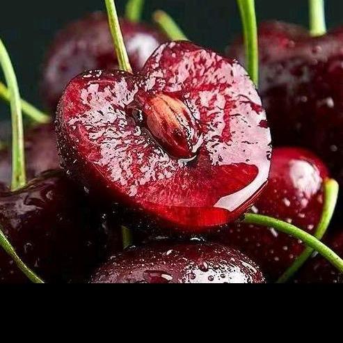 进口🍒车厘子自由