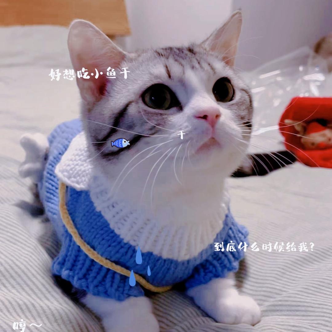 小西瓜🍉