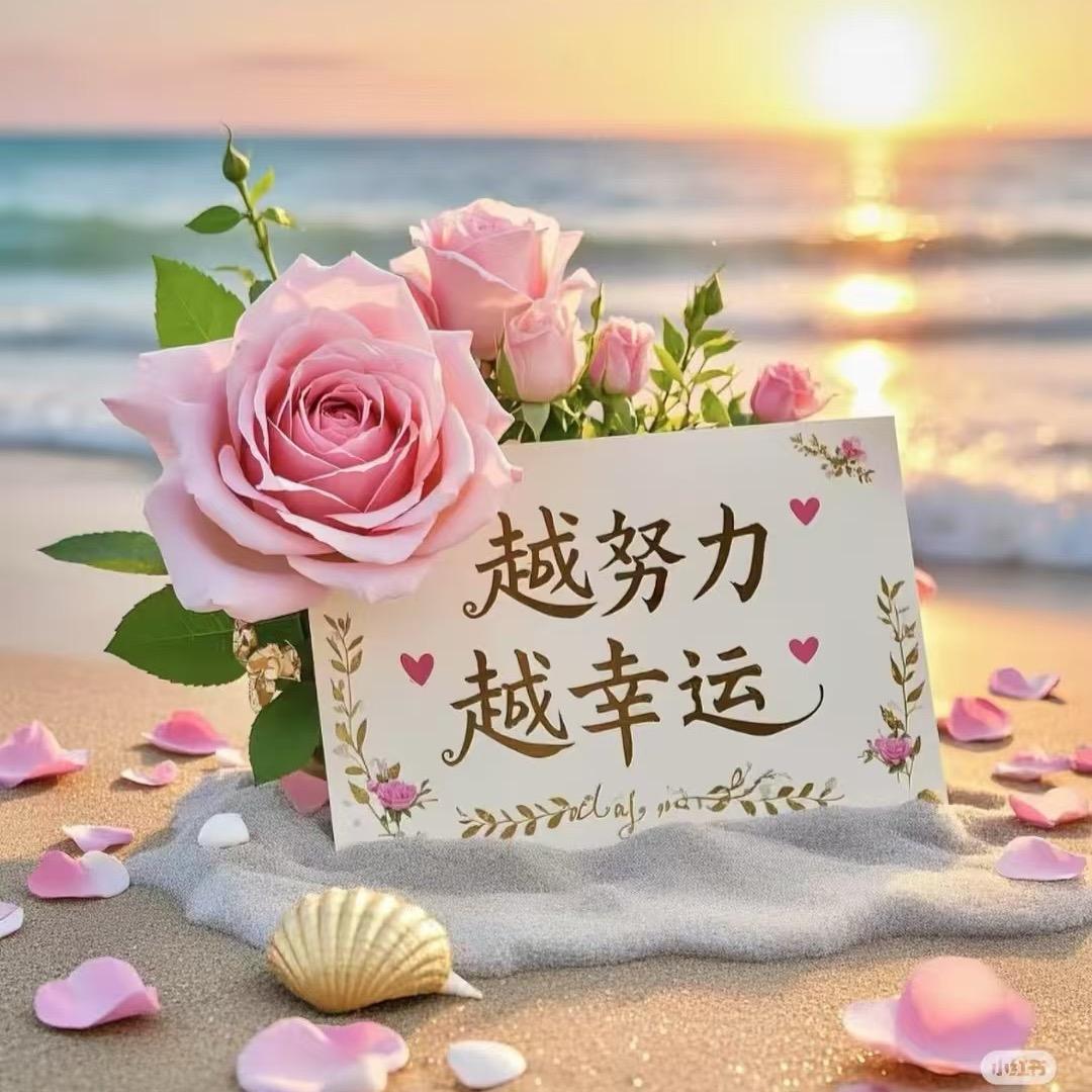 一见钟情💘高端婚车 静